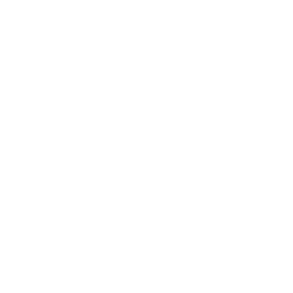 Header (Light) - Bouza Brands